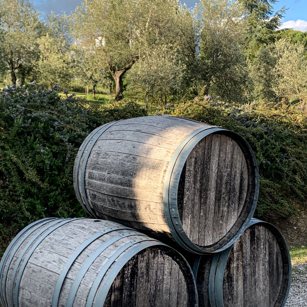 The barrels outside in the olive fields